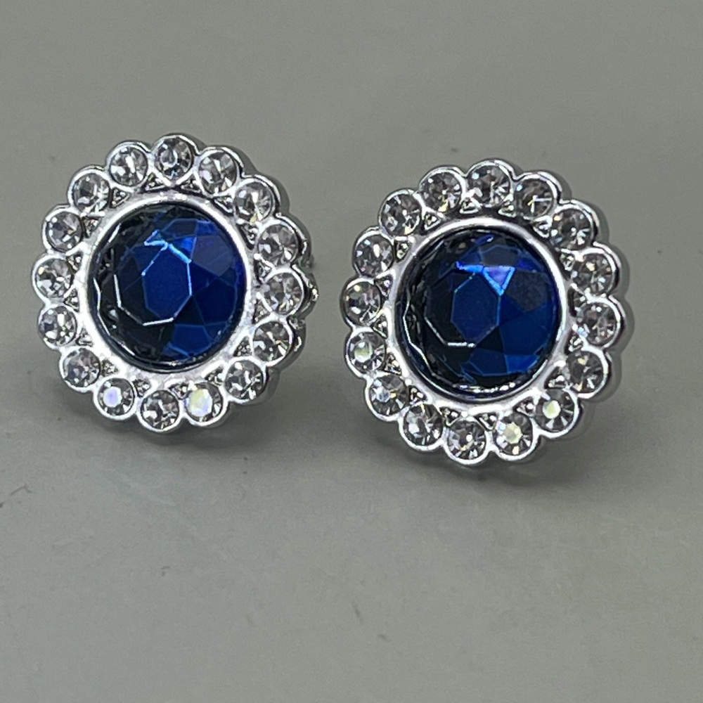 Elegant Blue and Silver Stud Earrings